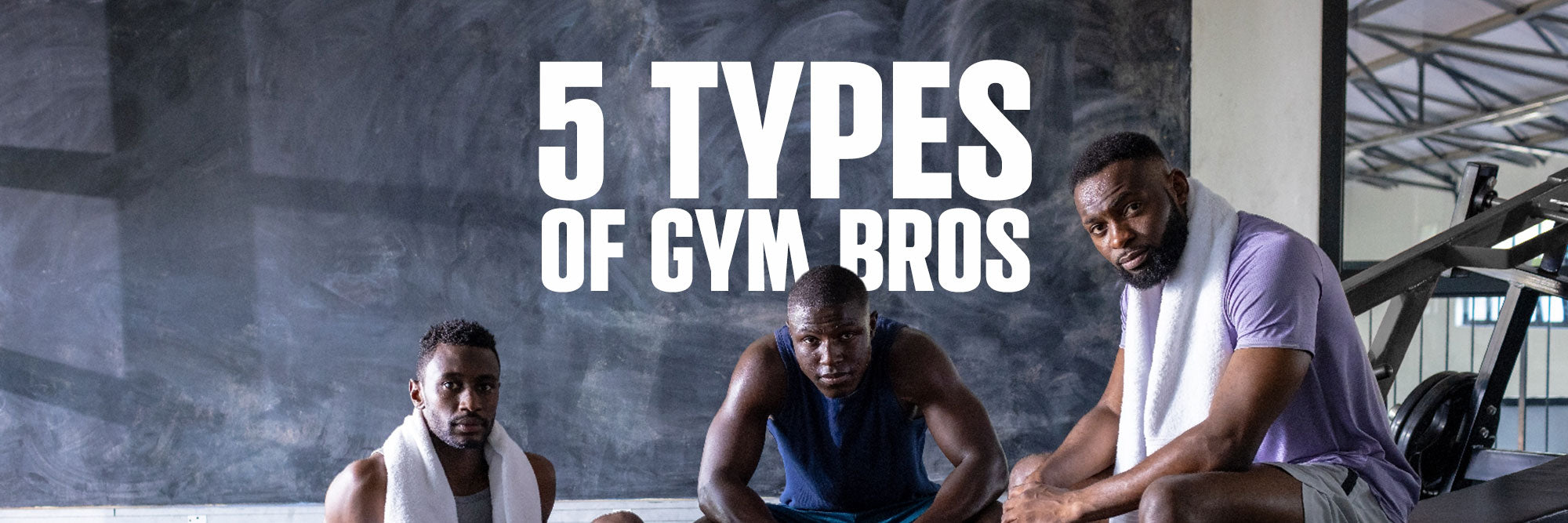 5 Types of Gym Bros you find in EVERY gym. (Which one are you?)